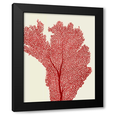 Red Corals 2 e Black Modern Wood Framed Art Print with Double Matting by Fab Funky