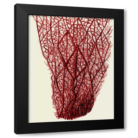 Red Corals 2 f Black Modern Wood Framed Art Print with Double Matting by Fab Funky