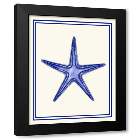 Mixed Nautical Blue on Cream f Black Modern Wood Framed Art Print with Double Matting by Fab Funky