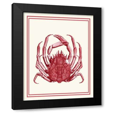 Mixed Nautical Coral on Cream f Black Modern Wood Framed Art Print with Double Matting by Fab Funky
