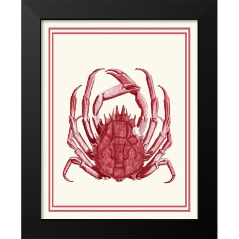 Mixed Nautical Coral on Cream f Black Modern Wood Framed Art Print by Fab Funky