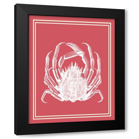Mixed Nautical White on Coral a Black Modern Wood Framed Art Print with Double Matting by Fab Funky