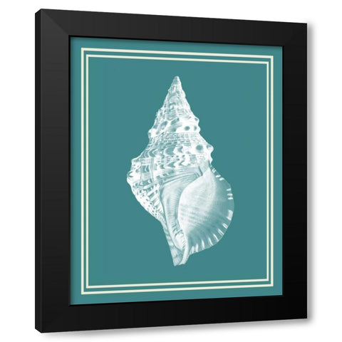 Mixed Nautical White on Teal c Black Modern Wood Framed Art Print with Double Matting by Fab Funky