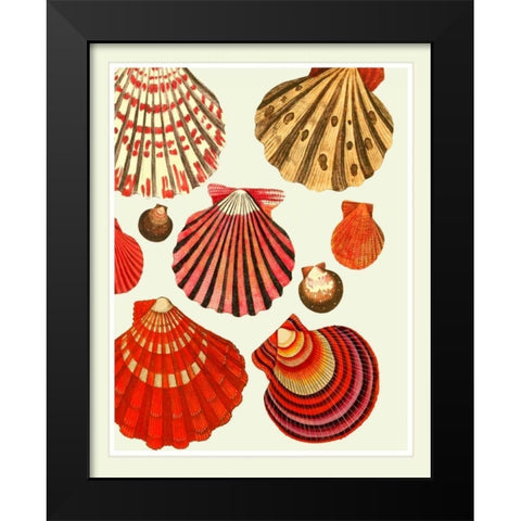 Red and Cream Clam Shells Black Modern Wood Framed Art Print by Fab Funky