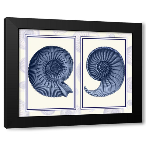 Nautilus Shells Indigo Blue Black Modern Wood Framed Art Print with Double Matting by Fab Funky