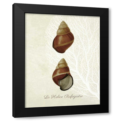 French Shell Print a Black Modern Wood Framed Art Print with Double Matting by Fab Funky