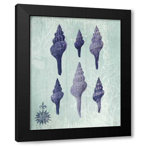 Seashell Collection 2 c Black Modern Wood Framed Art Print with Double Matting by Fab Funky