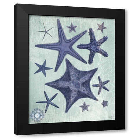 Seashell Collection 2 d Black Modern Wood Framed Art Print with Double Matting by Fab Funky