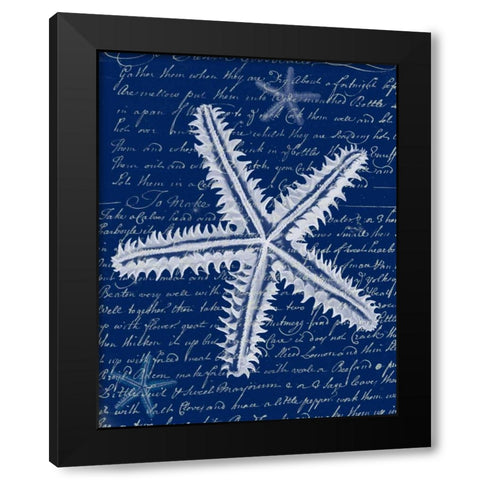 White Starfish on Blue a Black Modern Wood Framed Art Print with Double Matting by Fab Funky