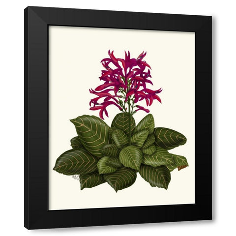 Tropical Flower 1 Black Modern Wood Framed Art Print by Fab Funky