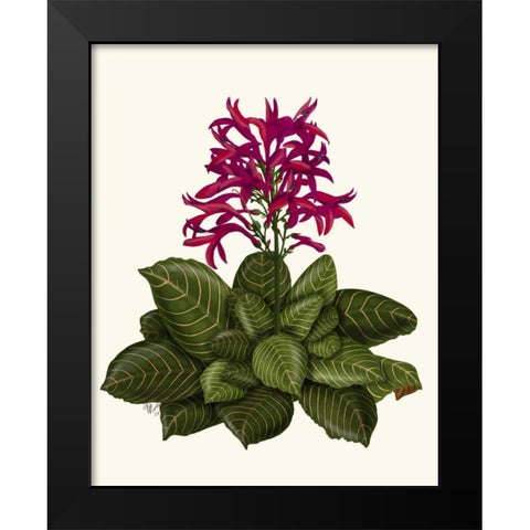 Tropical Flower 1 Black Modern Wood Framed Art Print by Fab Funky