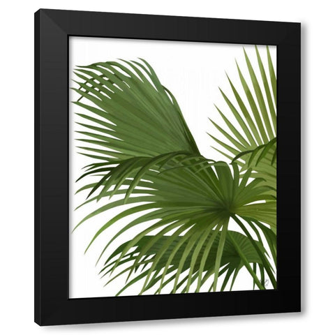 Fan Palm 2, Green on White Black Modern Wood Framed Art Print by Fab Funky