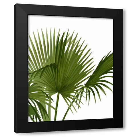 Fan Palm 1, Green on White Black Modern Wood Framed Art Print with Double Matting by Fab Funky