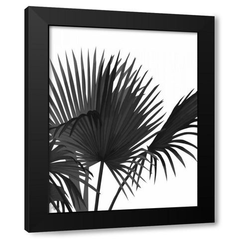 Fan Palm 1, Black On White Black Modern Wood Framed Art Print by Fab Funky