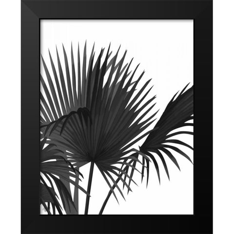 Fan Palm 1, Black On White Black Modern Wood Framed Art Print by Fab Funky