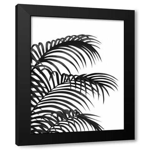 Palm Leaf 1, Black On White Black Modern Wood Framed Art Print with Double Matting by Fab Funky