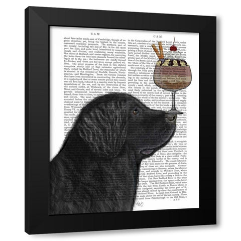 Newfoundland Ice Cream Black Modern Wood Framed Art Print with Double Matting by Fab Funky
