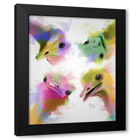 Rainbow Splash Four Ostriches Black Modern Wood Framed Art Print with Double Matting by Fab Funky