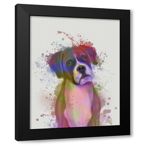 Boxer 1 Portrait Rainbow Splash Black Modern Wood Framed Art Print by Fab Funky