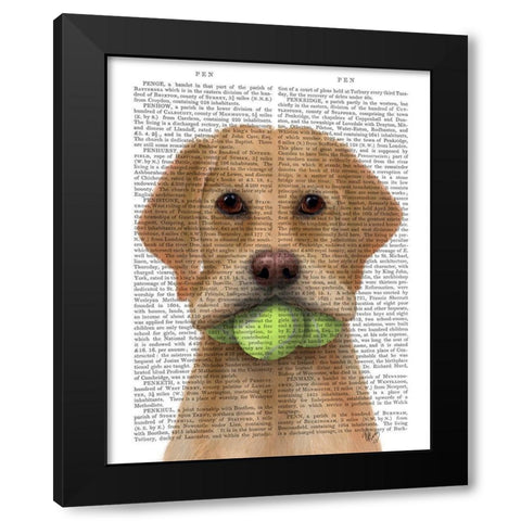 Yellow Labrador and Tennis Balls Black Modern Wood Framed Art Print with Double Matting by Fab Funky