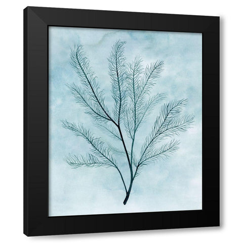 Clouds and Coral I Black Modern Wood Framed Art Print with Double Matting by Popp, Grace