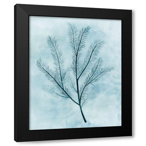 Clouds and Coral II Black Modern Wood Framed Art Print with Double Matting by Popp, Grace