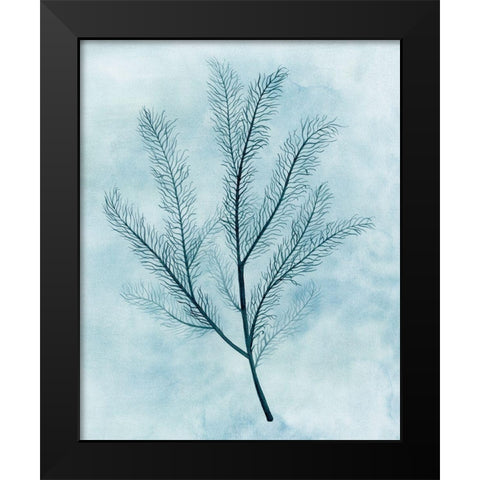 Clouds and Coral II Black Modern Wood Framed Art Print by Popp, Grace