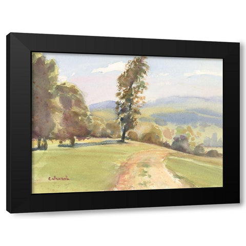 Vermont Vista II Black Modern Wood Framed Art Print with Double Matting by Calcasola, Stephen