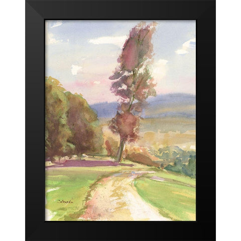 Vermont Vista III Black Modern Wood Framed Art Print by Calcasola, Stephen
