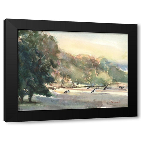 Sunlit Pasture I Black Modern Wood Framed Art Print by Calcasola, Stephen