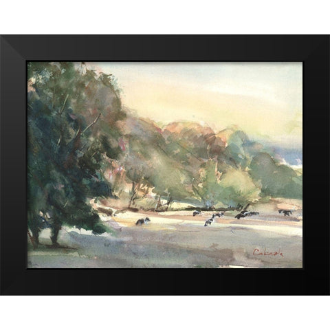 Sunlit Pasture I Black Modern Wood Framed Art Print by Calcasola, Stephen