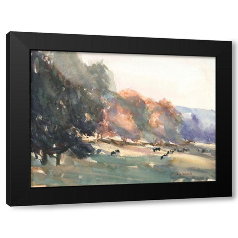 Sunlit Pasture II Black Modern Wood Framed Art Print by Calcasola, Stephen