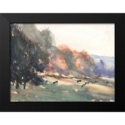 Sunlit Pasture II Black Modern Wood Framed Art Print by Calcasola, Stephen