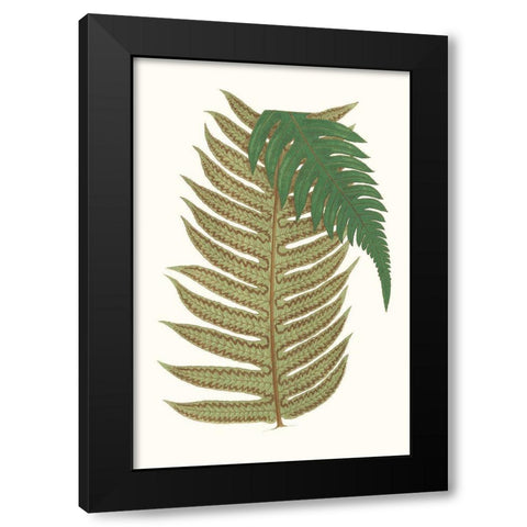 Collected Leaves II Black Modern Wood Framed Art Print with Double Matting by Vision Studio
