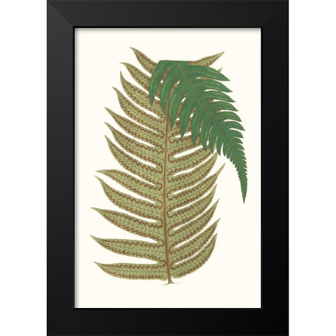 Collected Leaves II Black Modern Wood Framed Art Print by Vision Studio