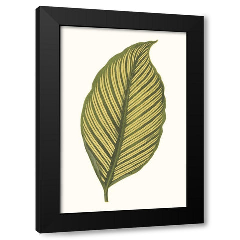 Collected Leaves III Black Modern Wood Framed Art Print with Double Matting by Vision Studio