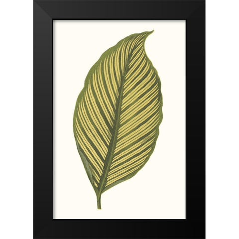 Collected Leaves III Black Modern Wood Framed Art Print by Vision Studio