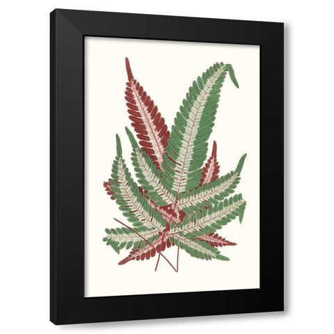 Collected Leaves IV Black Modern Wood Framed Art Print with Double Matting by Vision Studio