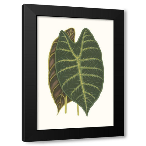 Collected Leaves V Black Modern Wood Framed Art Print with Double Matting by Vision Studio