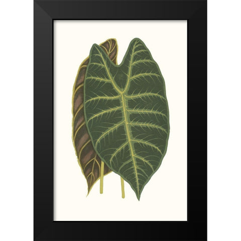 Collected Leaves V Black Modern Wood Framed Art Print by Vision Studio