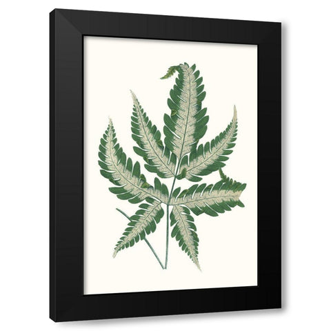 Collected Leaves VI Black Modern Wood Framed Art Print with Double Matting by Vision Studio