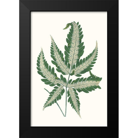 Collected Leaves VI Black Modern Wood Framed Art Print by Vision Studio