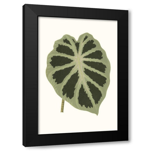 Collected Leaves VII Black Modern Wood Framed Art Print by Vision Studio