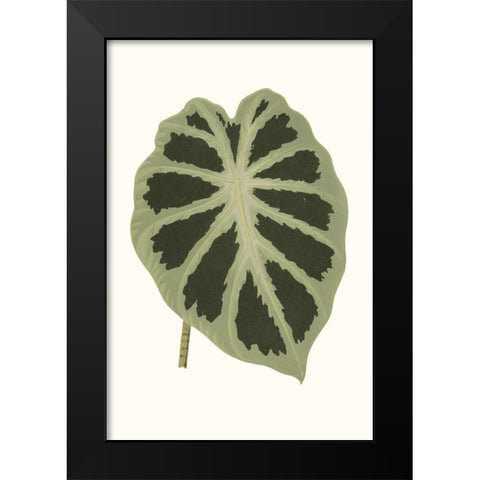 Collected Leaves VII Black Modern Wood Framed Art Print by Vision Studio