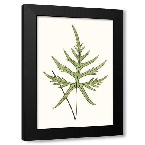 Collected Leaves VIII Black Modern Wood Framed Art Print with Double Matting by Vision Studio