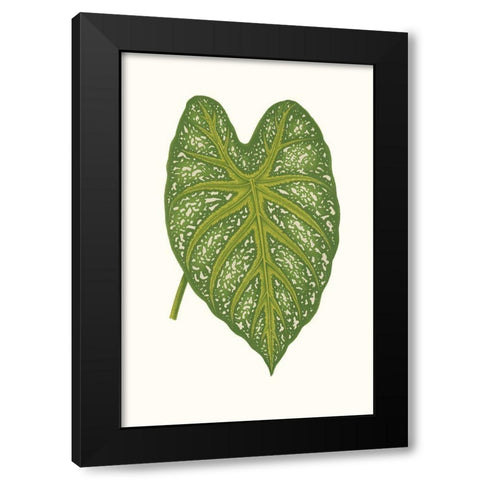 Collected Leaves IX Black Modern Wood Framed Art Print with Double Matting by Vision Studio