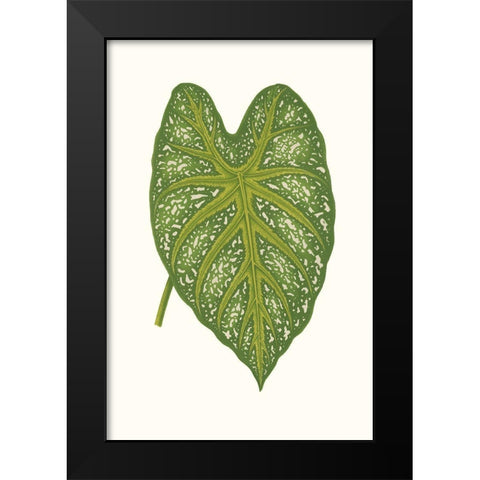 Collected Leaves IX Black Modern Wood Framed Art Print by Vision Studio