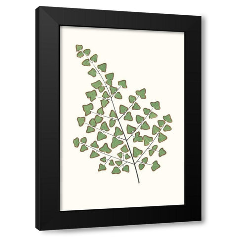 Collected Leaves X Black Modern Wood Framed Art Print with Double Matting by Vision Studio