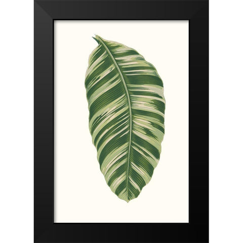 Collected Leaves XI Black Modern Wood Framed Art Print by Vision Studio