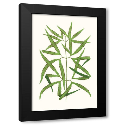 Collected Leaves XII Black Modern Wood Framed Art Print with Double Matting by Vision Studio